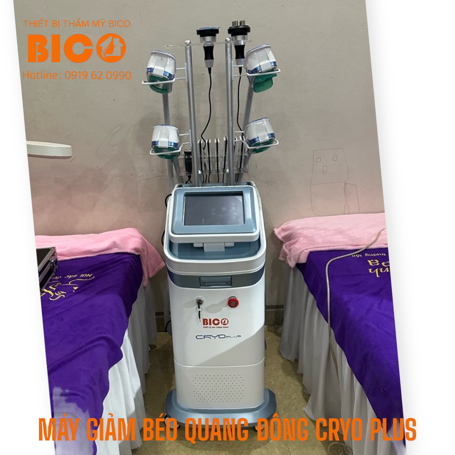 Chuyển giao công nghệ máy giảm béo quang đông cryo plus tại Hà Nội