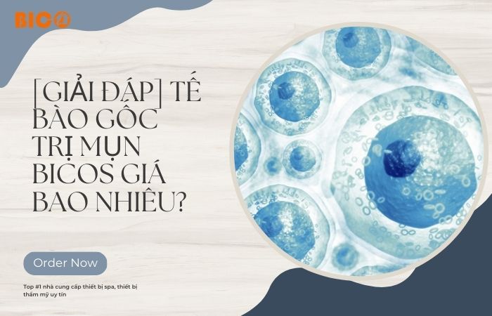 [Giải Đáp] Tế Bào Gốc Trị Mụn Bicos Giá Bao Nhiêu?